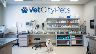 ветеринарная клиника Vetcitypets