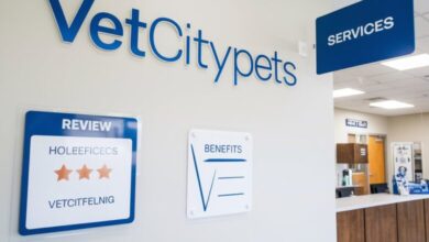 VetCityPets