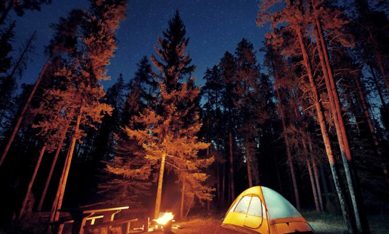 Campsites Near Me